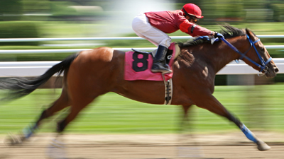 SARATOGA SPRINGS, NY - AUG 27: Jockey James Wilsey and "Ginowillietwoshoes" compete in a maiden race at Saratoga Race Course on Aug 27, 2010 in Saratoga Springs, New York; Shutterstock.com 