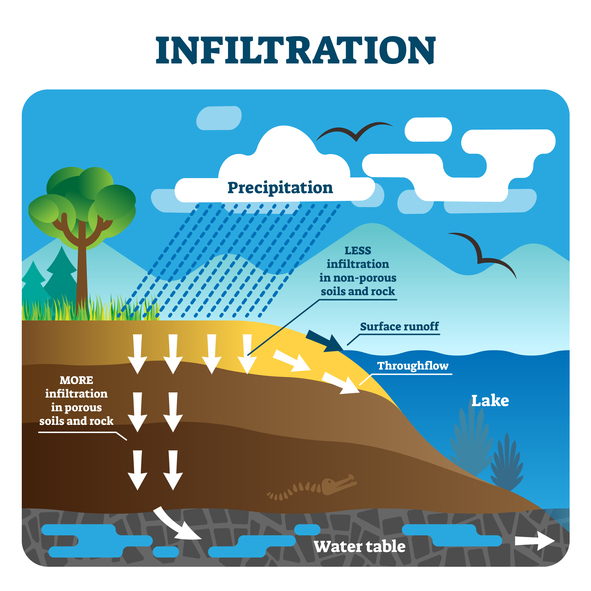 linfiltration water cycle diagram