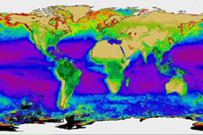 apes_mapoftheearth_580x290