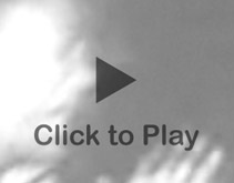 Click to play video.