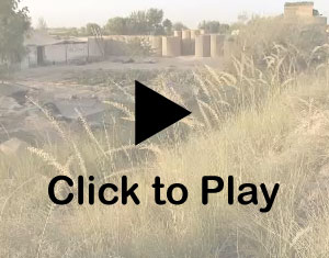 Click to play video.