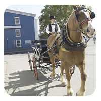 man on horse pulling wagon