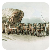 wagon and horses