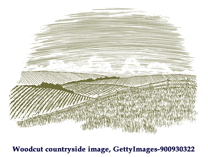 Woodcut countryside image, GettyImages-900930322