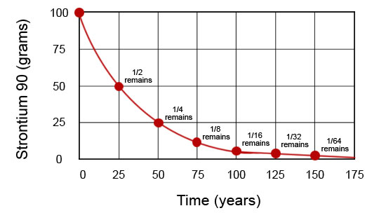 Graph showing the rate of strontium-90 decay. 