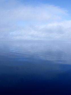 fog over a body of water