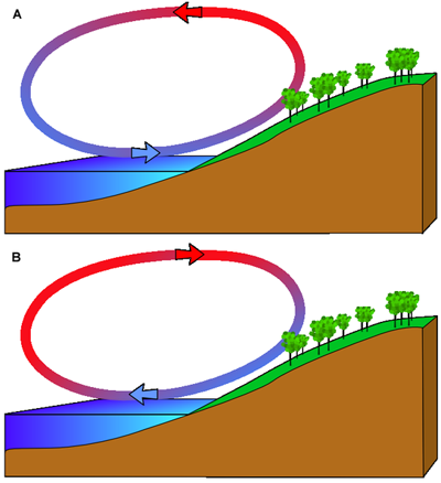 Diagram showing the formation of sea breezes and land breezes.