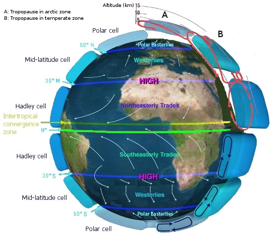 Image of the earth with various global wind patterns. At the poles, arrows indicate movement towards the center of the earth as well as east and west. These winds are called Polar Easterlies. On both the northern and southern sides of the earth, the next wind pattern is shown with arrows pointing east. These winds are called Westerlies.  On both the northern and southern sides of the equator, the next wind pattern is shown with arrows pointing west. These winds are called Northeasterly Trades to the north of the equator and Southeasterly Trades to the south of the equator. 