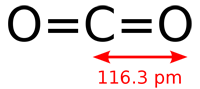 The carbon dioxide molecule