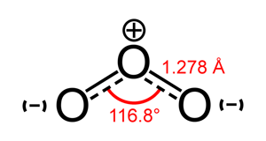 ozone molecules