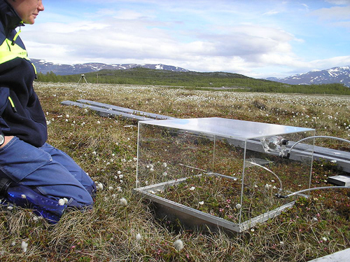 a scientist monitoring methane release from the ground