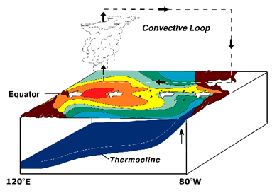 Diagram of normal coastal upwelling