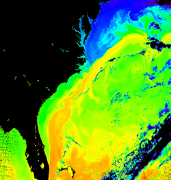 the Gulf Stream