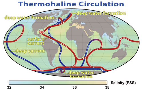 Diagram of thermohaline circulation of the ocean.