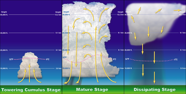 Diagram showing the formation of a thunderstorm