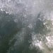 the ocean