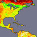 Map showing global albedo