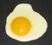 a fried egg