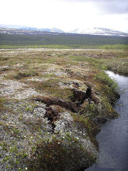 ground covered with permafrost