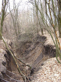 gully erosion, with wide gullies carved out by water