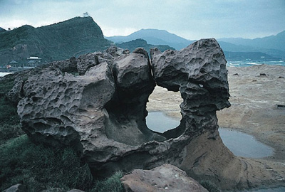 a weathered rock with distinctive honeycomb patterns worn out of it by salt crystal growth