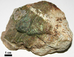 rock altered by hydration, with a zone of alteration showing as a green color while the rest of the rock is brown