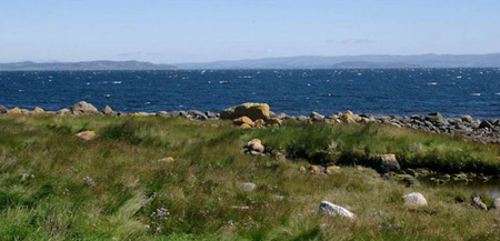 rocks along a shoreline