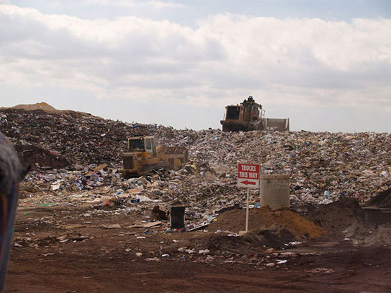 garbage in a landfill