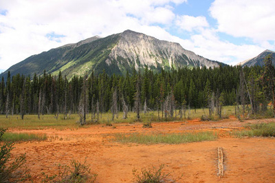 a landscape with red soil