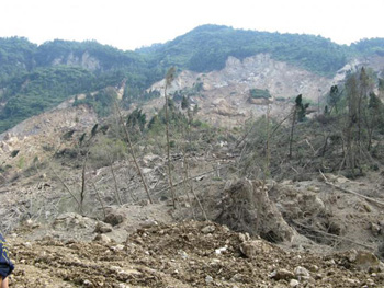 rocks and trees that have been moved downhill