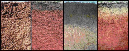 1. Arizona soil; 2. North Carolina soil; 3. Kansas soil; 4. Alabama soil