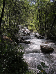 narrow river with fast-moving water