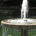 a fountain in a garden