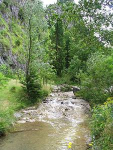 a river carrying small broken pieces of rock