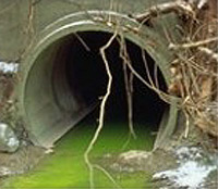 green polluted water pouring out of a channel