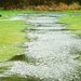 runoff from eroded land