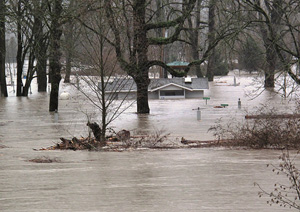 houses submerged under flood water