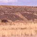 an esker
