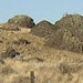 an irregularly shaped hill called a kame
