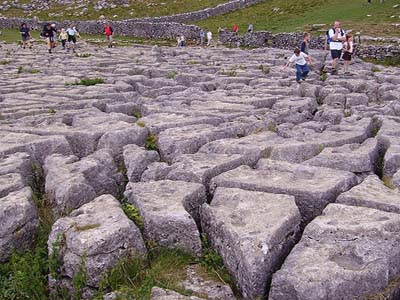 Landscape with a sheet of fractured limestone at the surface