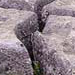 Landscape with a sheet of fractured limestone at the surface