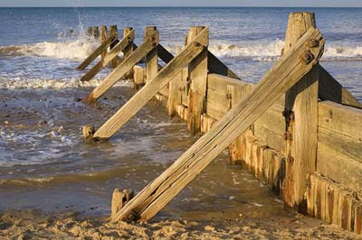 a wooden groyne on a shoreline