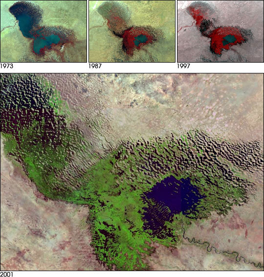 Satellite image of Lake Chad, showing that it is getting smaller over time.