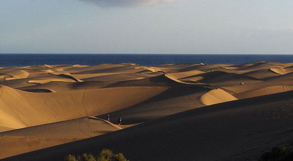 large vast sand dunes