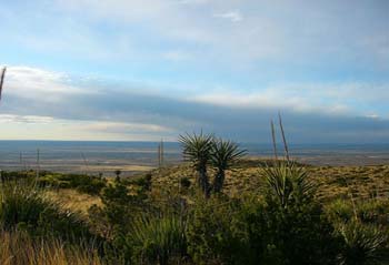 the New Mexico landscape