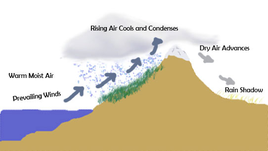 Diagram demonstrating how rain shadow deserts form. 