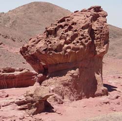 rock with many pits and holes eroded out of it