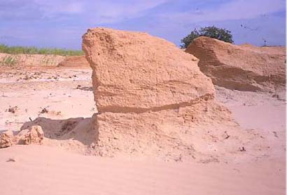 rock yardangs sculpted by wind erosion