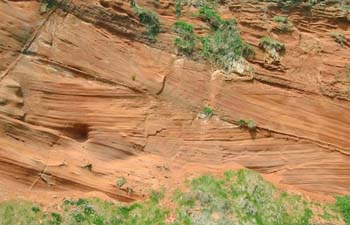 sandstone rock with parallel striations in it