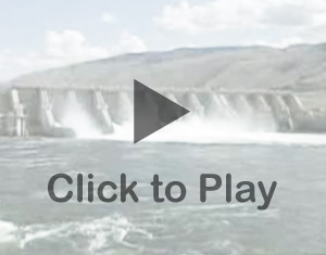 Click to play video.